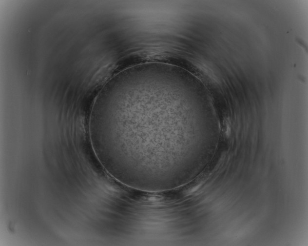 X0000091730506200709071503