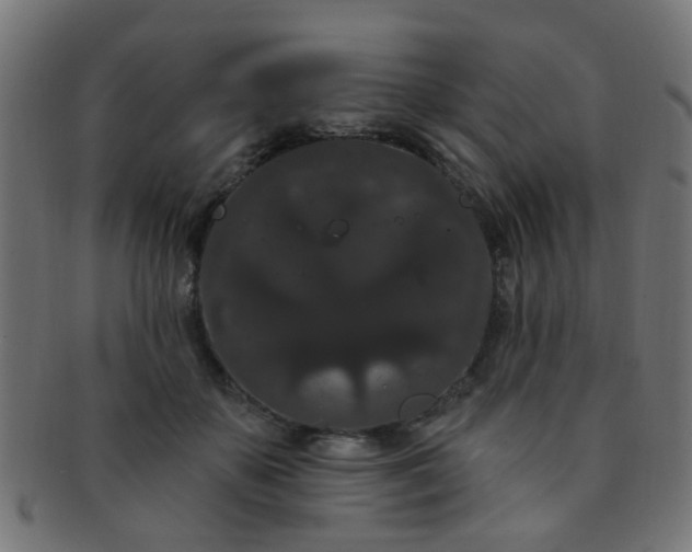 X0000091730507200709071503