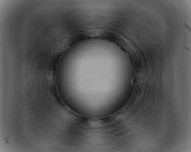 X0000091730510200709071503