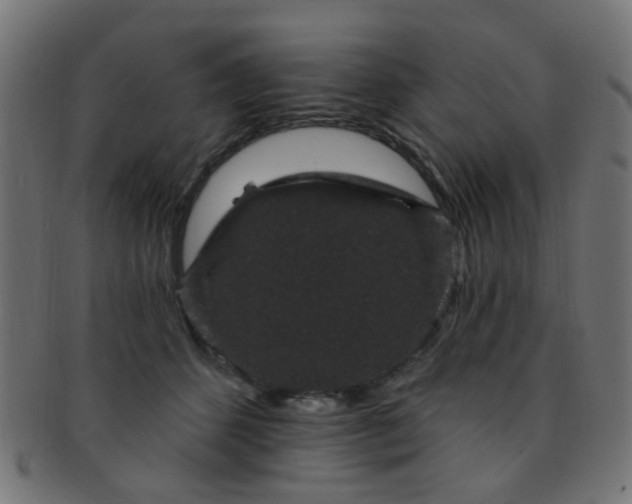 X0000091730512200709071503