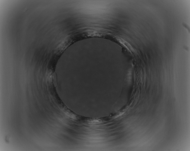 X0000091730513200709071503