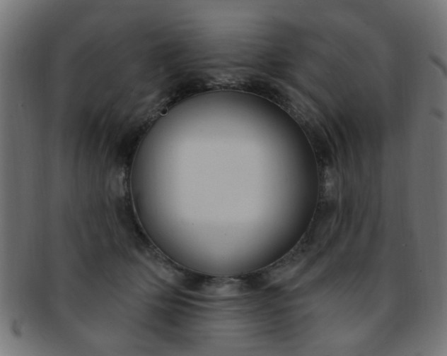 X0000091730514200709071503