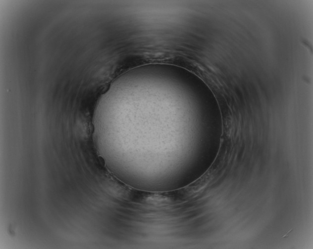 X0000091730515200709071503