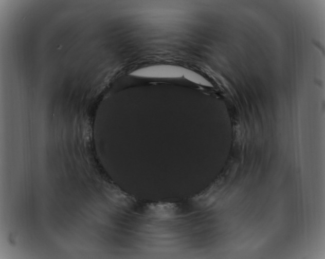 X0000091730517200709071503