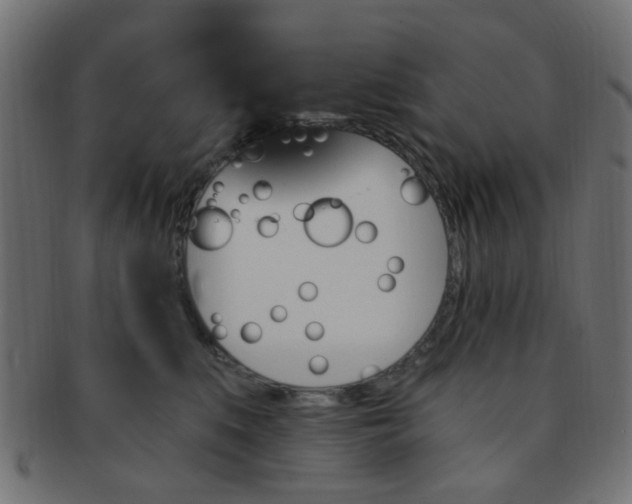 X0000091730519200709071503