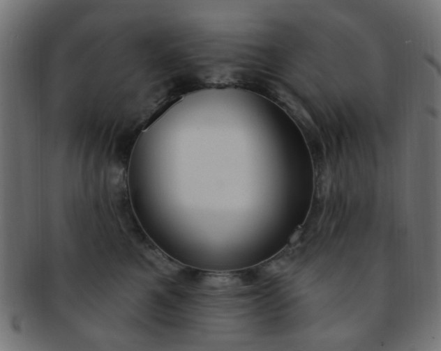 X0000091730521200709071503