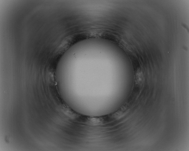 X0000091730522200709071503