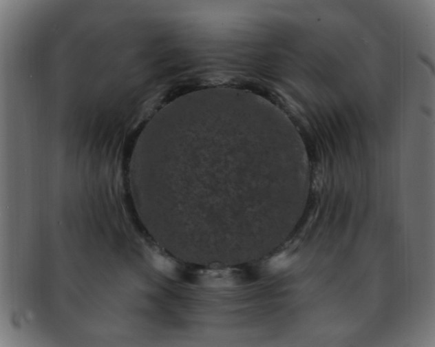 X0000091730524200709071503