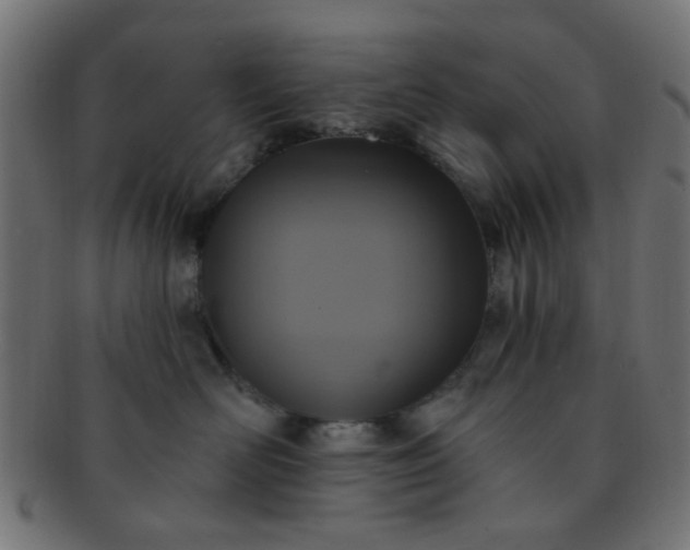 X0000091730526200709071503