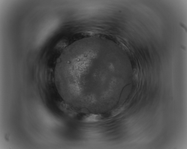 X0000091730527200709071503