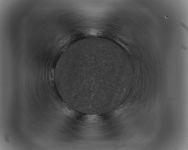 X0000091730528200709071503