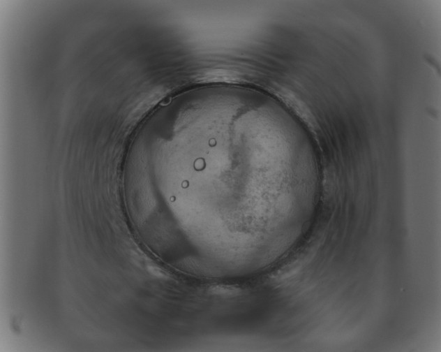 X0000091730529200709071502