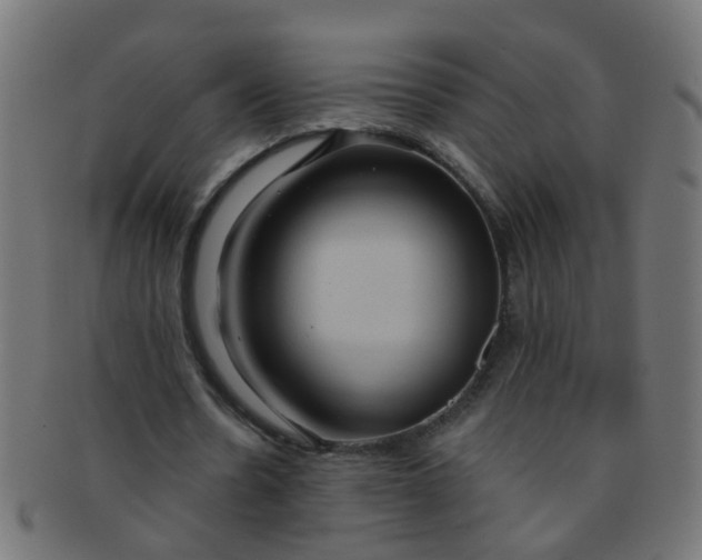 X0000091730530200709071502