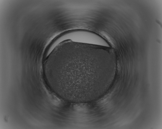 X0000091730532200709071502