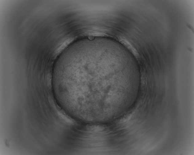 X0000091730533200709071502