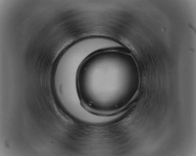 X0000091730534200709071502