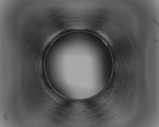 X0000091730535200709071502