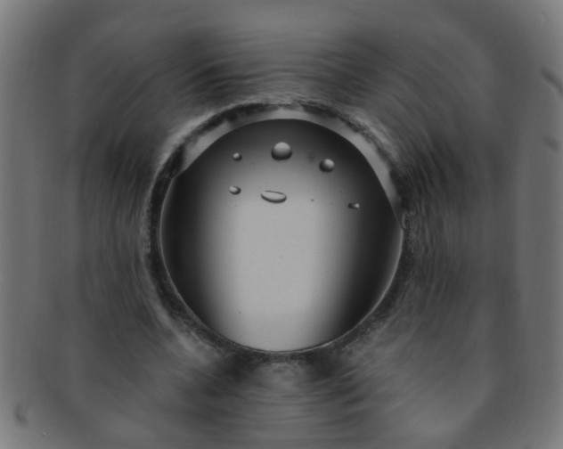 X0000091730536200709071502