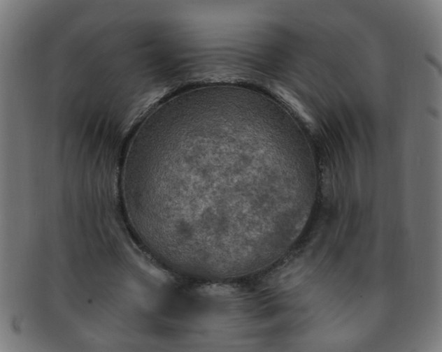 X0000091730537200709071502