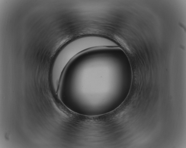 X0000091730538200709071502