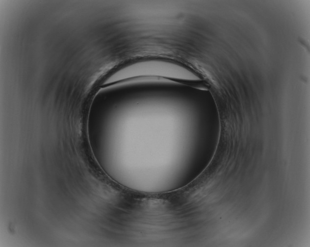 X0000091730539200709071502