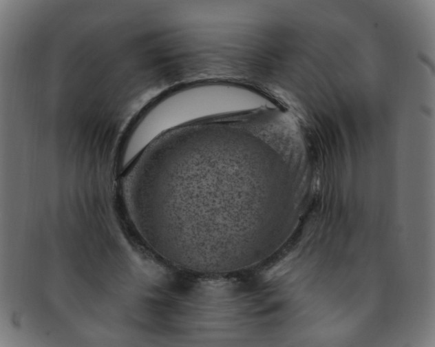 X0000091730540200709071502