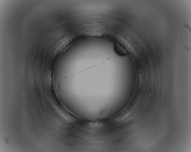 X0000091730541200709071502