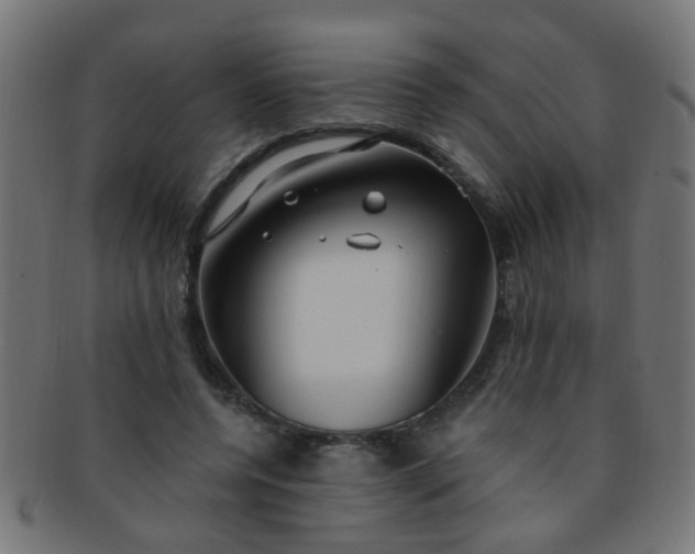 X0000091730544200709071502