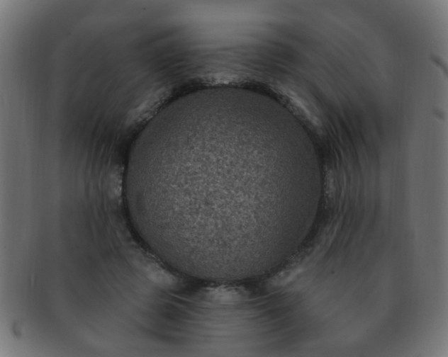 X0000091730545200709071502