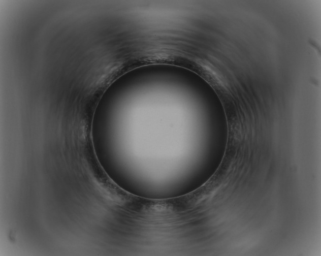 X0000091730546200709071502