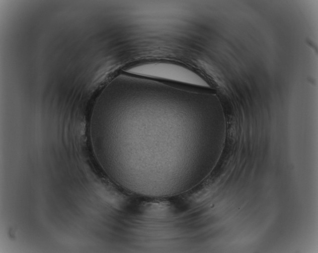 X0000091730548200709071502