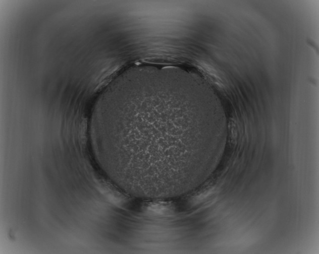 X0000091730550200709071502