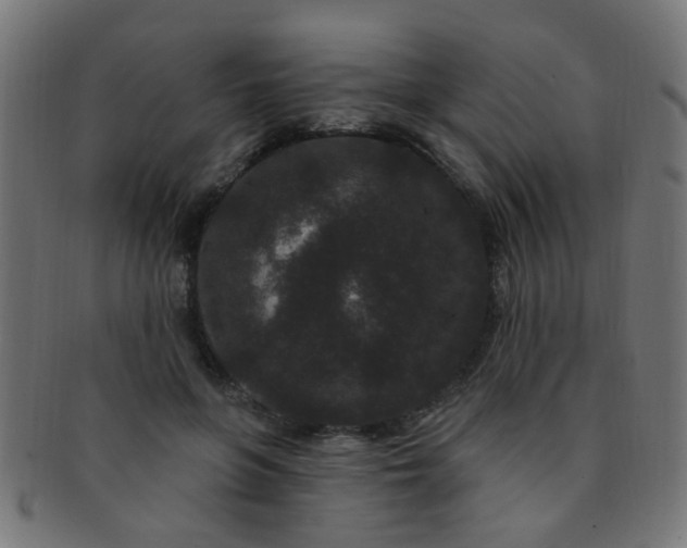 X0000091730551200709071502