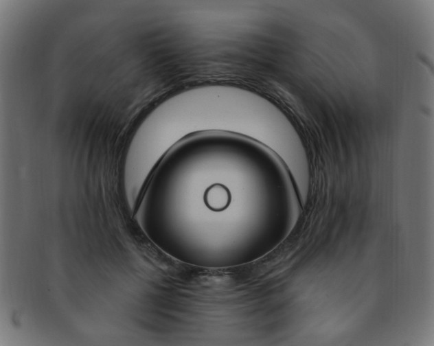 X0000091730552200709071502