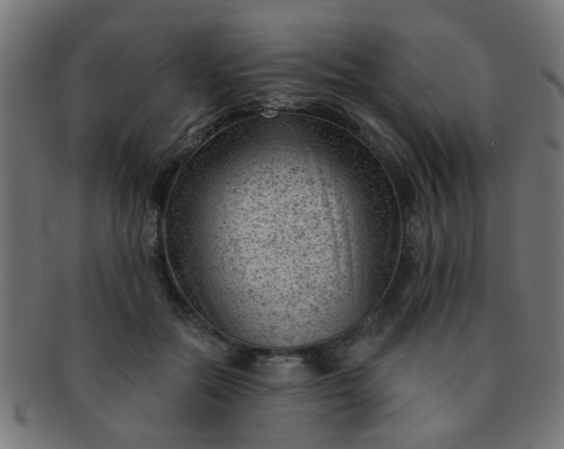 X0000091730554200709071502