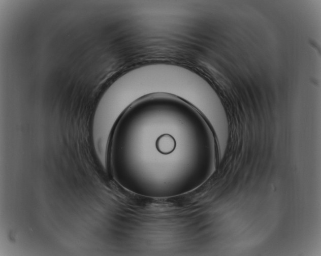 X0000091730556200709071503