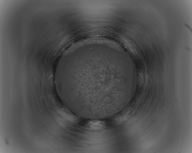 X0000091730557200709071503