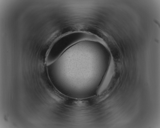 X0000091730558200709071503