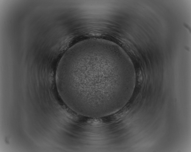 X0000091730559200709071503