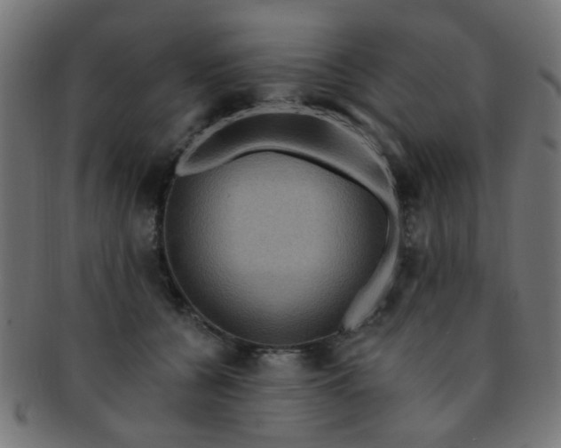 X0000091730560200709071503