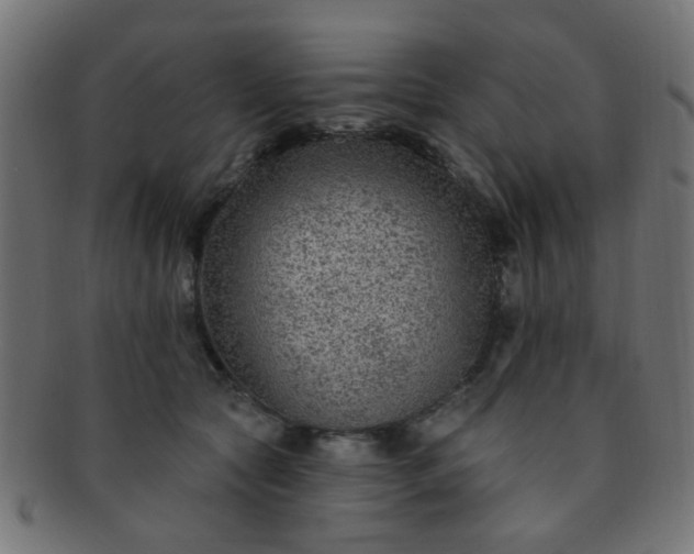 X0000091730561200709071503