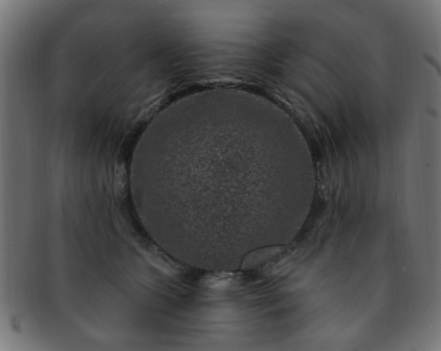 X0000091730563200709071503