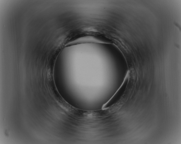 X0000091730564200709071503