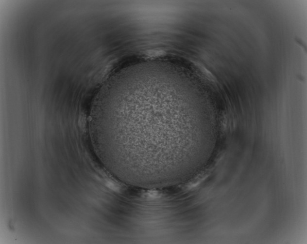 X0000091730565200709071503