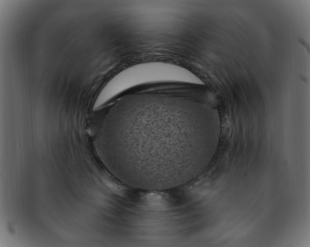 X0000091730566200709071503