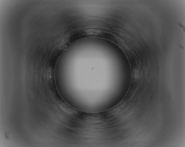 X0000091730567200709071503