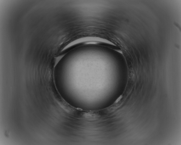 X0000091730568200709071503