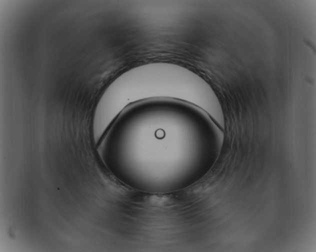 X0000091730570200709071503