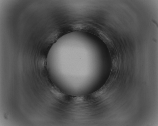 X0000091730574200709071503