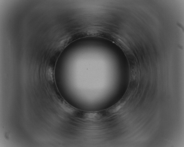 X0000091730575200709071503